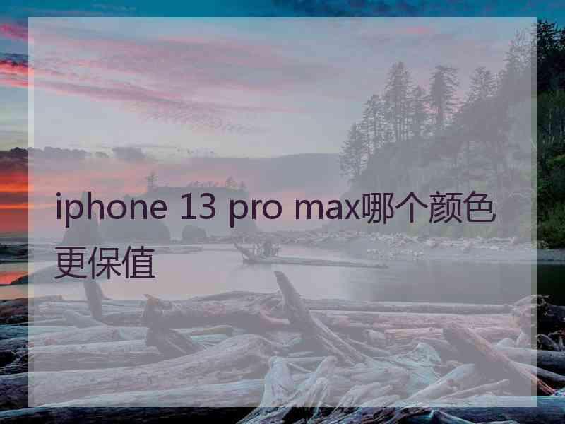 iphone 13 pro max哪个颜色更保值