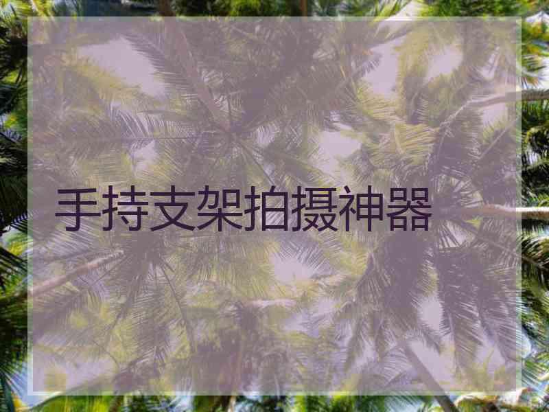 手持支架拍摄神器