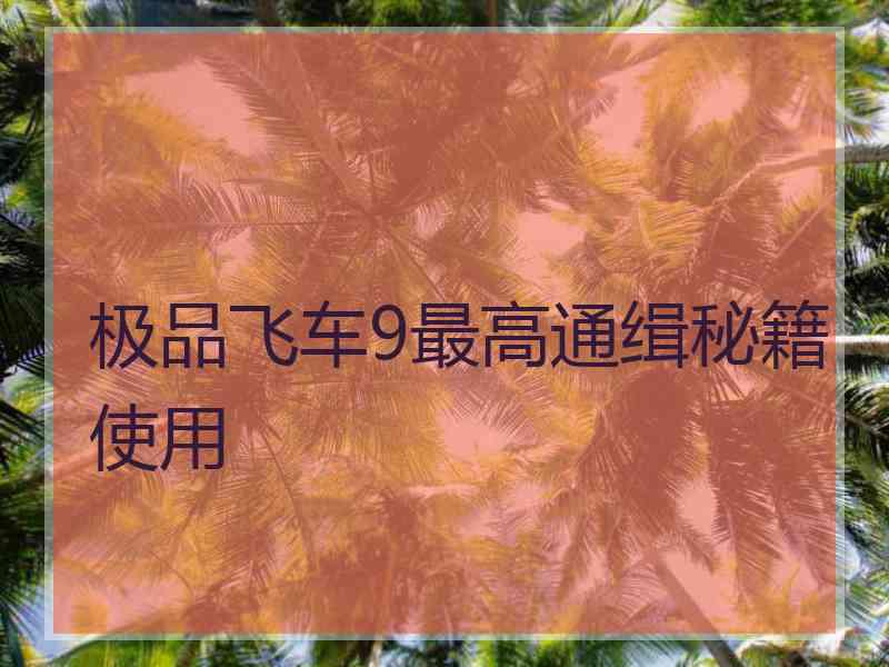 极品飞车9最高通缉秘籍使用