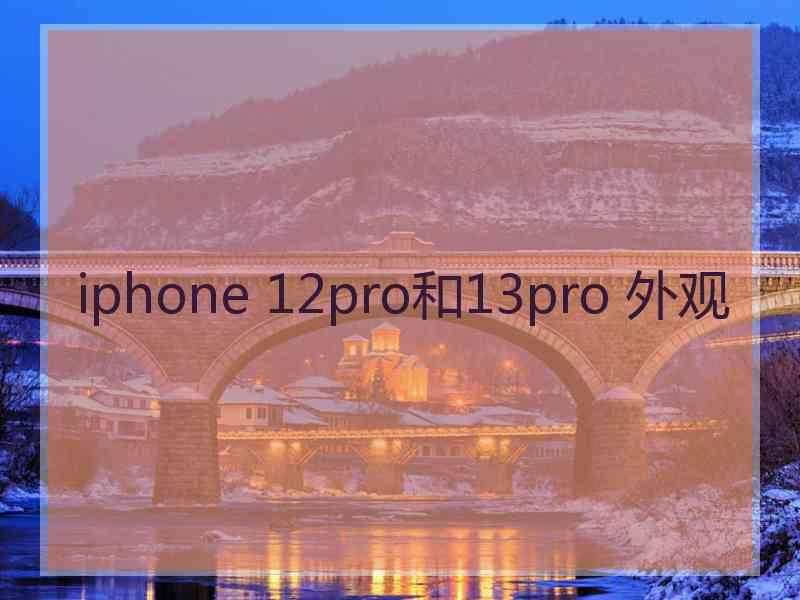 iphone 12pro和13pro 外观