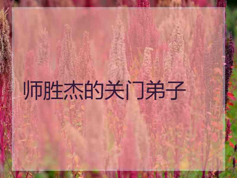 师胜杰的关门弟子