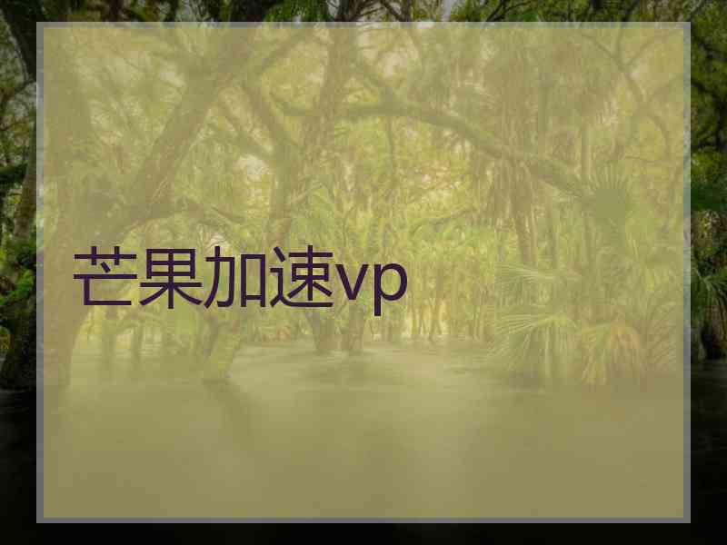 芒果加速vp