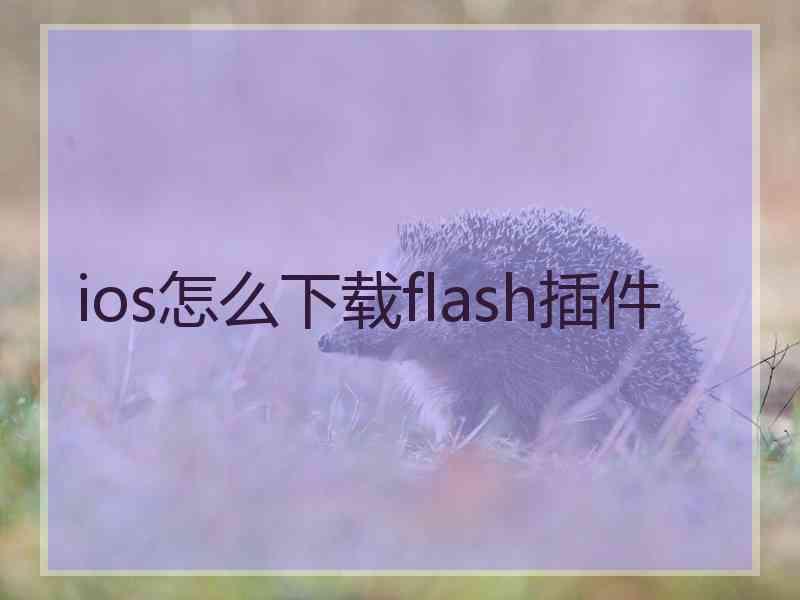 ios怎么下载flash插件