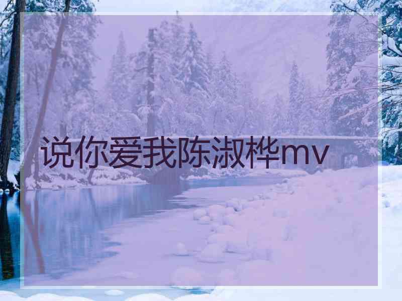 说你爱我陈淑桦mv