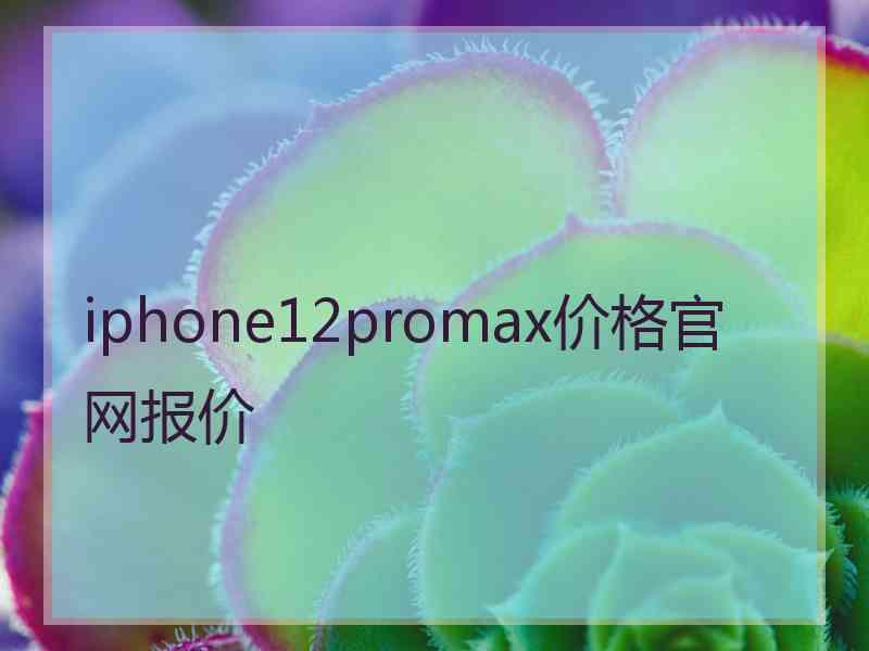 iphone12promax价格官网报价