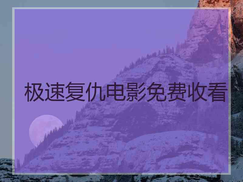 极速复仇电影免费收看