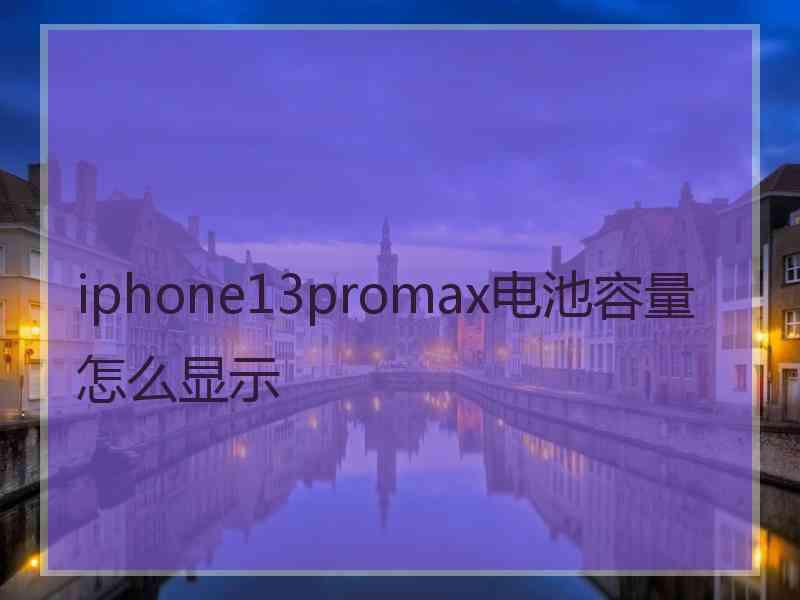 iphone13promax电池容量怎么显示