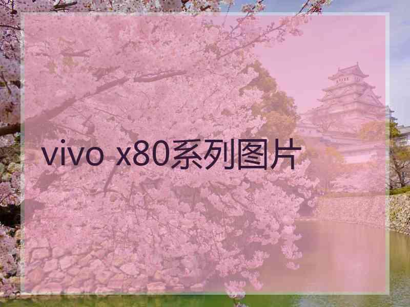 vivo x80系列图片