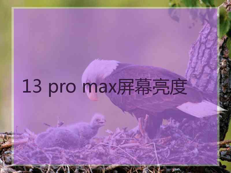 13 pro max屏幕亮度