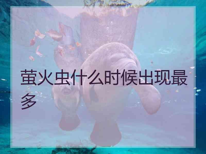 萤火虫什么时候出现最多