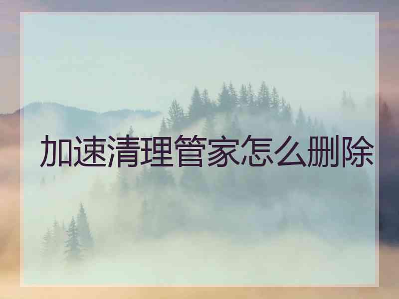 加速清理管家怎么删除