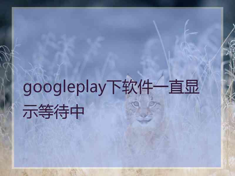 googleplay下软件一直显示等待中