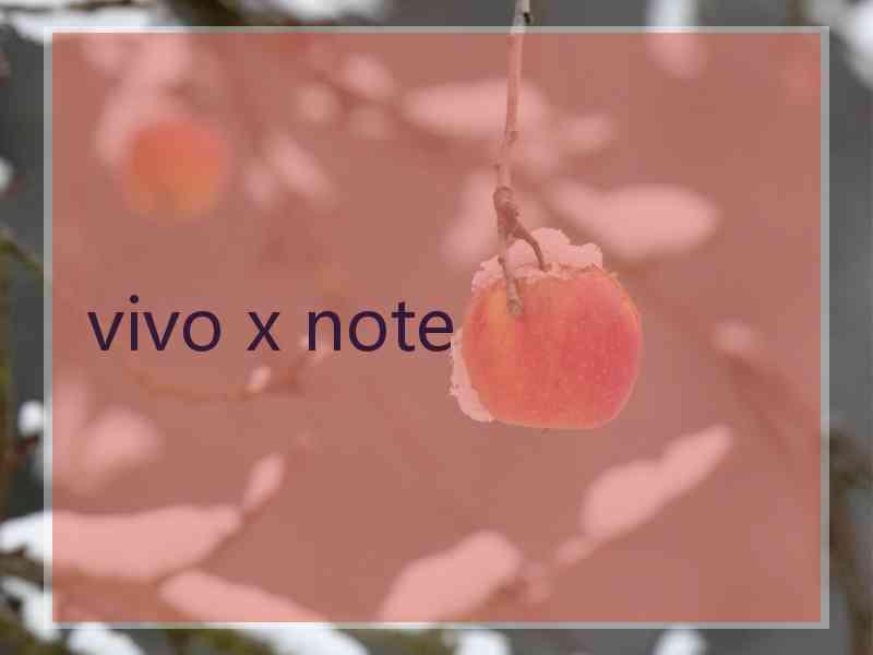 vivo x note