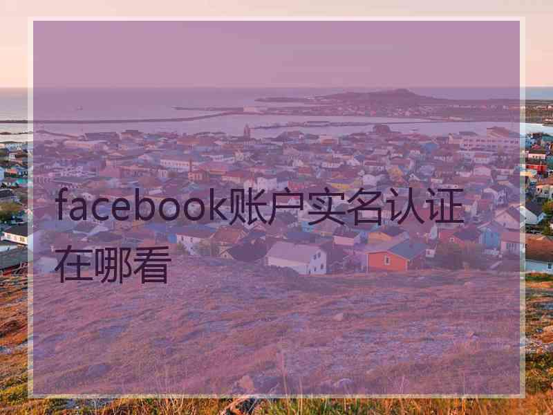 facebook账户实名认证在哪看