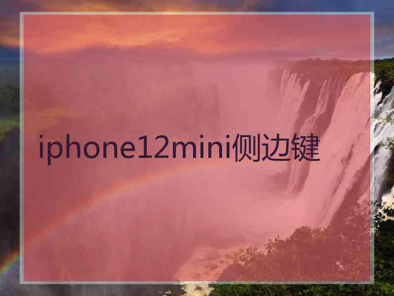 iphone12mini侧边键