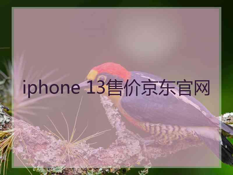 iphone 13售价京东官网