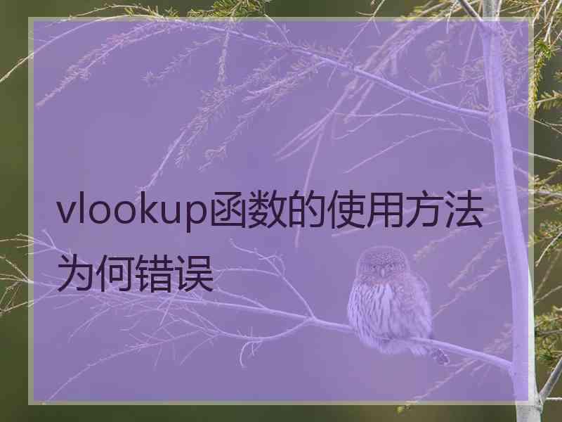 vlookup函数的使用方法为何错误