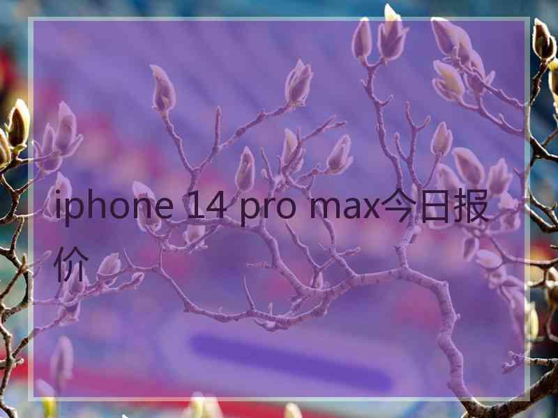 iphone 14 pro max今日报价