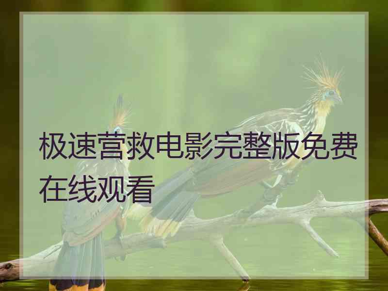 极速营救电影完整版免费在线观看