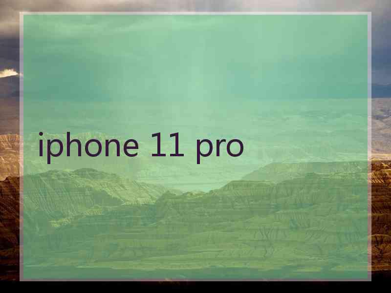 iphone 11 pro