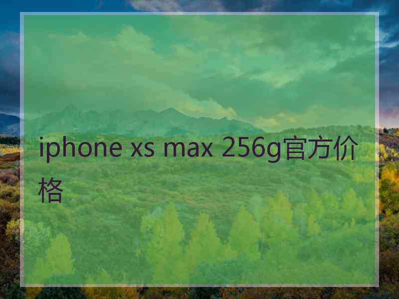 iphone xs max 256g官方价格