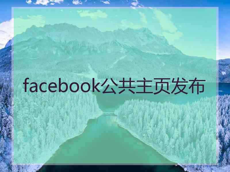 facebook公共主页发布