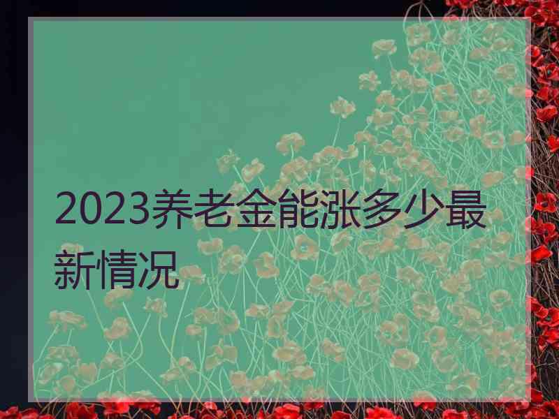 2023养老金能涨多少最新情况