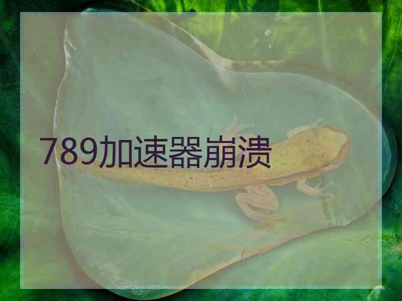 789加速器崩溃