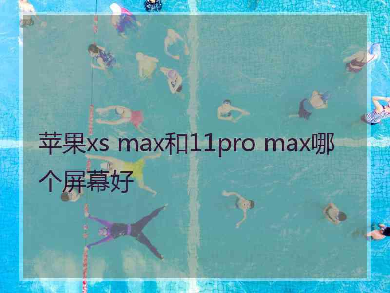 苹果xs max和11pro max哪个屏幕好