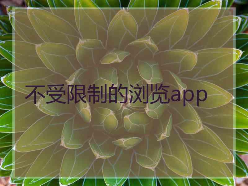 不受限制的浏览app