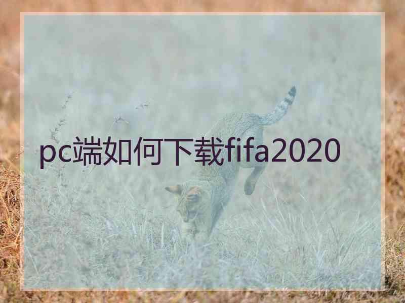 pc端如何下载fifa2020