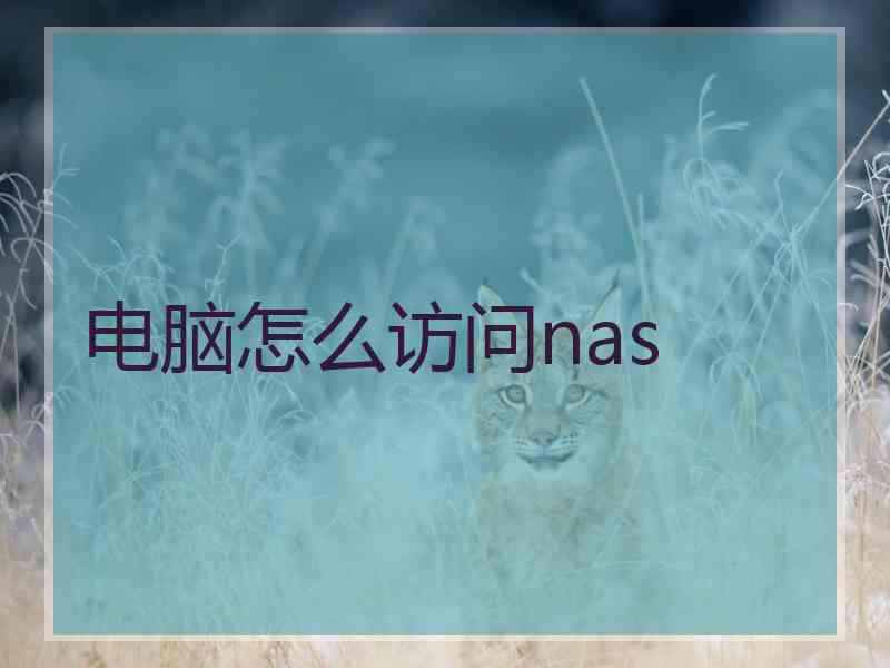 电脑怎么访问nas