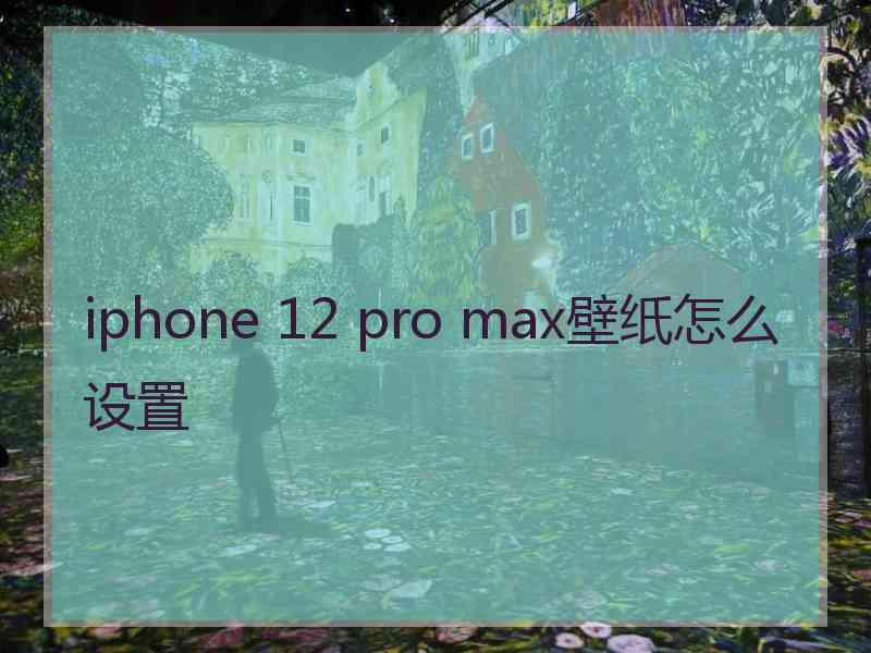 iphone 12 pro max壁纸怎么设置