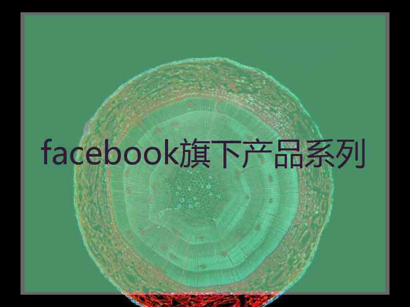 facebook旗下产品系列