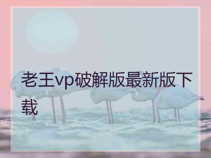老王vp破解版最新版下载