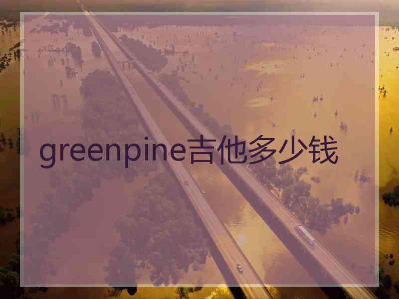 greenpine吉他多少钱