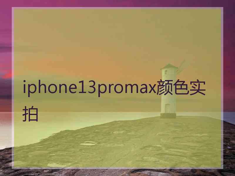 iphone13promax颜色实拍