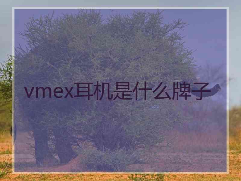 vmex耳机是什么牌子