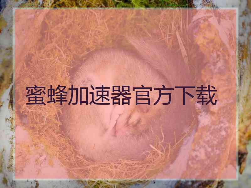 蜜蜂加速器官方下载