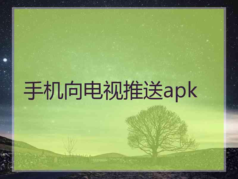 手机向电视推送apk