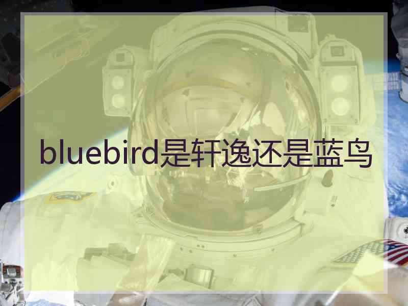 bluebird是轩逸还是蓝鸟