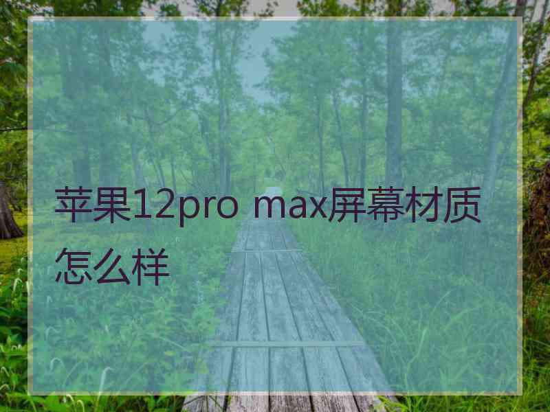 苹果12pro max屏幕材质怎么样