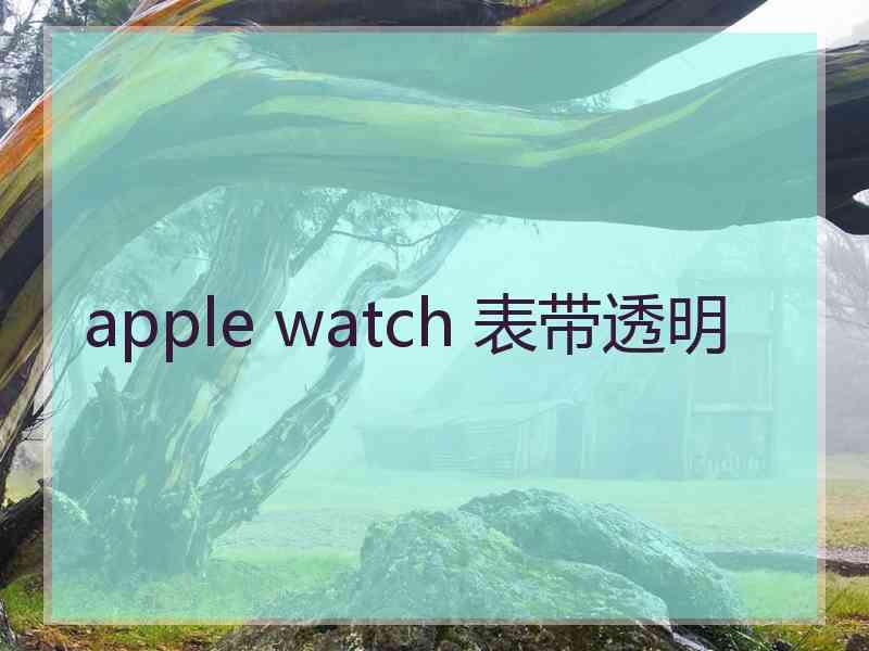 apple watch 表带透明