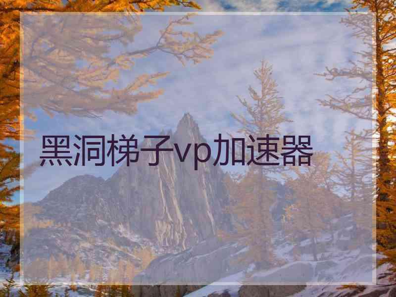 黑洞梯子vp加速器