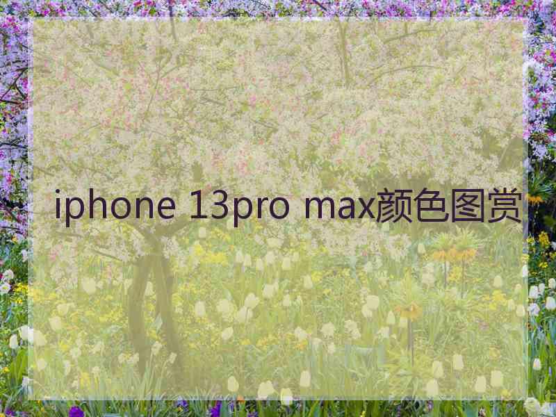 iphone 13pro max颜色图赏