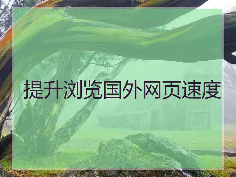 提升浏览国外网页速度