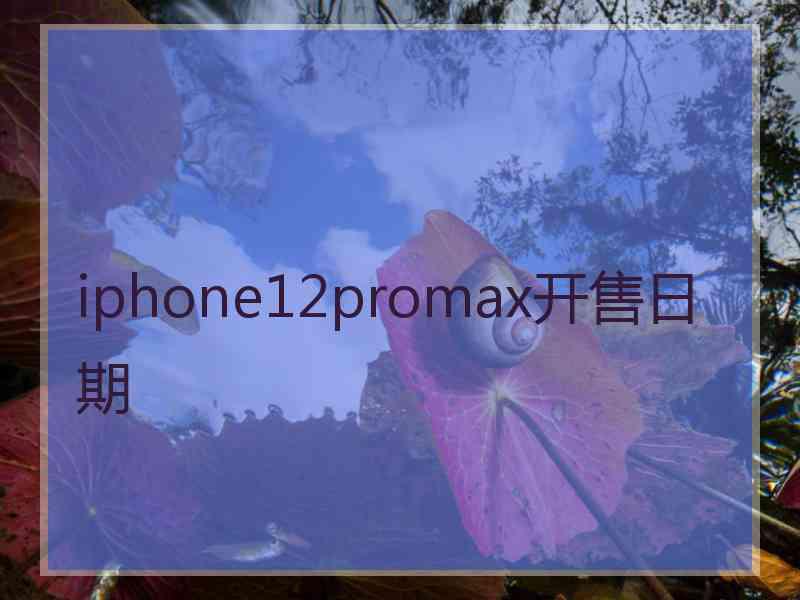 iphone12promax开售日期