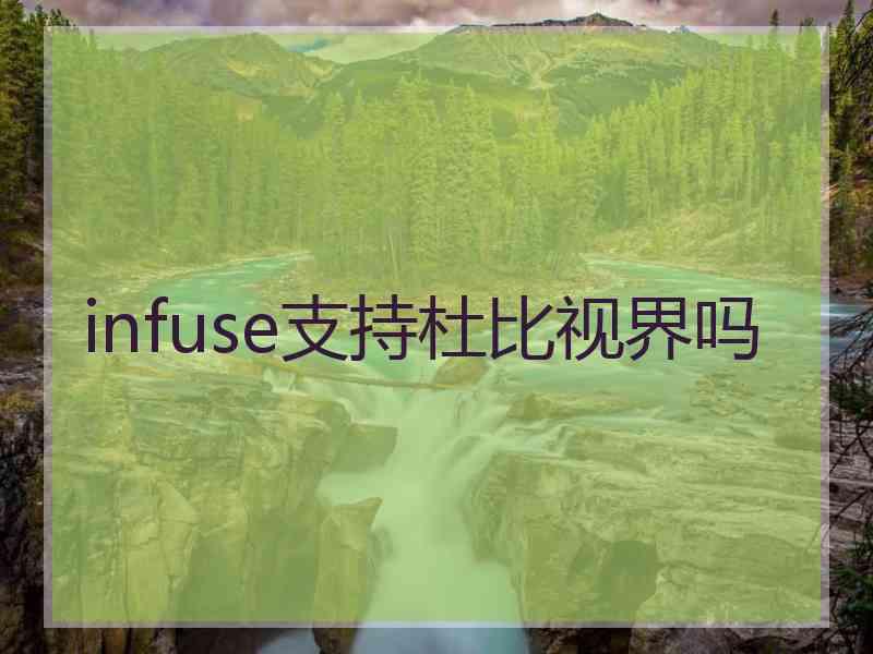 infuse支持杜比视界吗