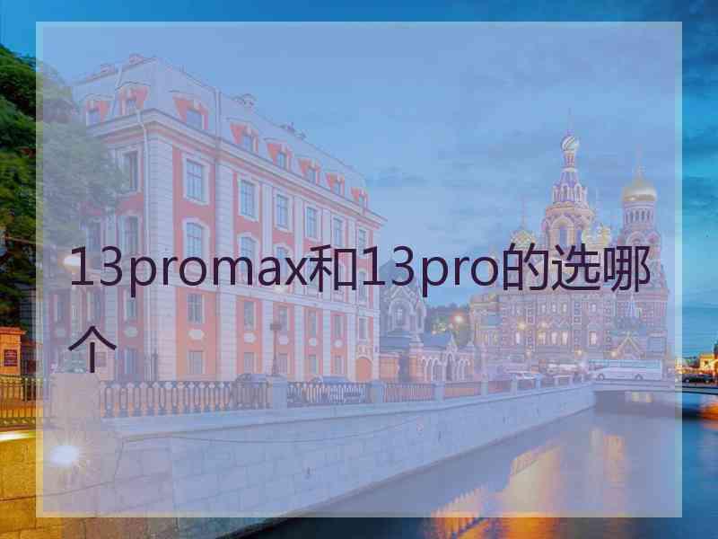 13promax和13pro的选哪个