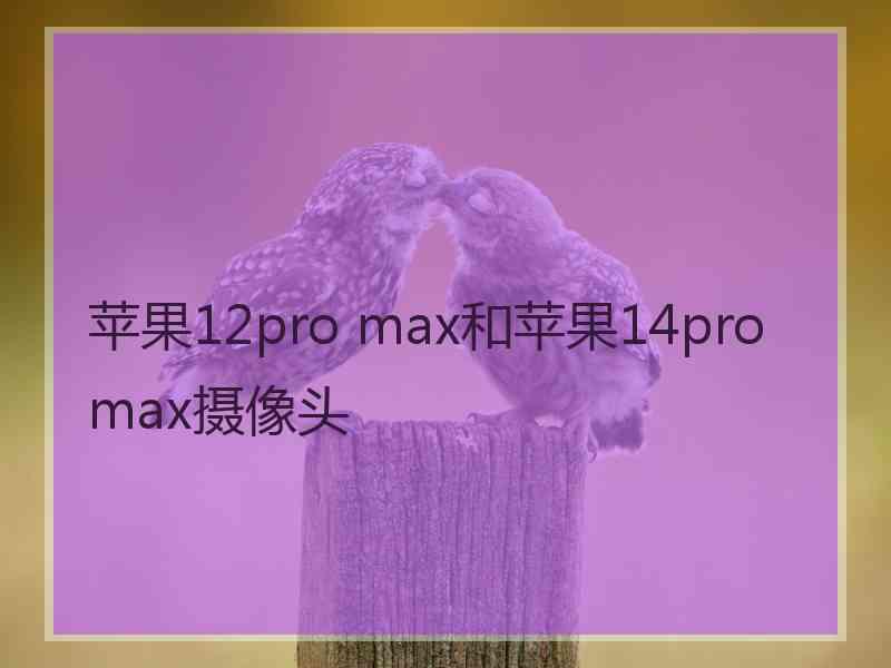 苹果12pro max和苹果14promax摄像头